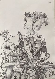 a pencil drawing of mushrooms and flowers