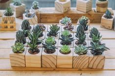 small succulents are arranged in wooden boxes on a table