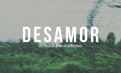 the words desamor are written in white on a blurry image of trees