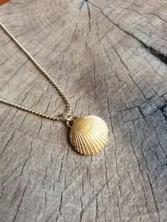 A sea shell necklace made of natural shells casted in brass and plated with quality, nickel free 14k gold plating.The necklace is made of 14k gold filled. Delicate Gold Necklace For Beach, Ocean-inspired Gold Shell Charm Necklaces, Dainty Gold Shell Necklace, Gold Shell Necklace With Ocean-inspired Style, Gold Shell Necklace In Ocean-inspired Style, Gold Shell Necklace Ocean-inspired, Gold Shell Ocean-inspired Necklace, Dainty Gold Shell Charm Necklace, Gold Ocean-inspired Shell Necklace