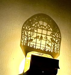 the shadow of a birdcage is cast on a wall