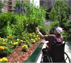 a man in a wheel chair pointing at flowers