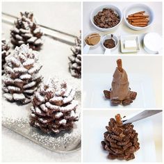 there are several pictures of different types of pine cones with chocolate and powdered sugar on them