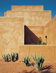 an adobe building with plants in front of it