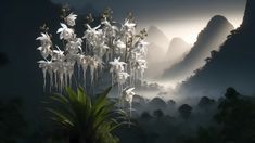 the white flowers are blooming in the misty mountain valley with mountains in the background