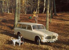 an old car parked in the woods with two people and a dog standing next to it