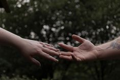 two hands reaching out towards each other with trees in the background