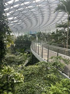 an indoor walkway in the middle of trees and plants with a glass roof above it