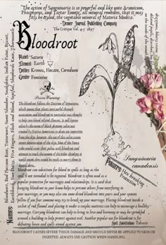 an old book with flowers in it and some writing on the front cover that says bloodroot