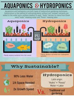 the different types of hydroponies and how they use them to grow plants info