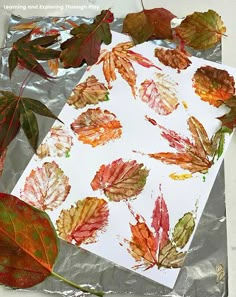 some leaves are laying on tin foil next to a piece of paper that has been cut out