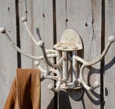 a coat rack made out of branches on a wooden fence