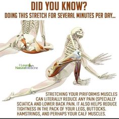 an image of a diagram of how to do stretches for the lower back and upper body