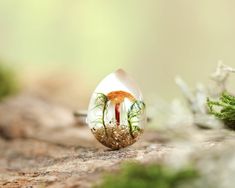 a tiny mushroom sitting on top of a piece of wood next to some grass and dirt