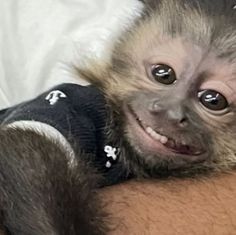 a baby monkey is being held in someone's arms and smiling at the camera