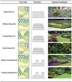 the different types of garden plants and how they are used to create an outdoor space