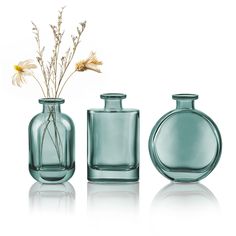 PRICES MAY VARY. DESIGN STYLE: This set of glass vases is simple and stylish, creating an elegant home environment. The green oval and oblate bottles give some freshness to the monotonous life.There is no doubt it's a perfect decoration for every occasion. QUALITY MATERIAL: The height is 4.9"(12.5cm)/ 4.9"(12.5cm)/ 4.7"(12cm), and the caliber is 0.7"(2cm). The vase is made of high-quality glass to ensure durability and aesthetics. MULTI-PURPOSE: The vases can provide beautiful decoration for you Bottle Vase Centerpiece, Centerpieces For Wedding, Small Glass Vases, Home Office Table, Glass Bud Vase, Rustic Flower, Glass Flower Vases, Green Oval, Bleu Violet