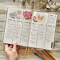 All posts • Instagram Book Notes Ideas, Bulett Jornal Ideas, Cool Journal Ideas, Bullet Journal Ideas Layout, Journaling Ideas Aesthetic, Future Log, Calendar Journal