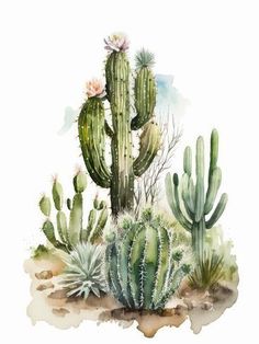 a watercolor painting of cactuses and succulents