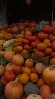 many pumpkins and squash are stacked on top of each other