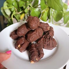 a white plate topped with lots of chocolate covered candies next to a potted plant