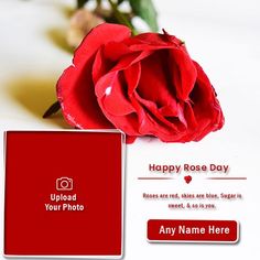 Create Name On Rose Image With I Love You Photo Frame Happy Hug Day, Rose Image, Love Images With Name, Online Photo Frames