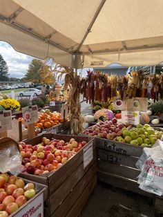 an outdoor market with apples, oranges and other fruit for sale under a tent