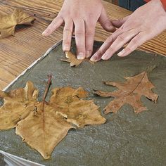 two hands are touching leaves on the ground next to a table with other autumn leaves