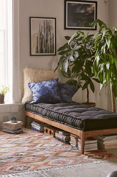 a living room filled with lots of furniture and plants