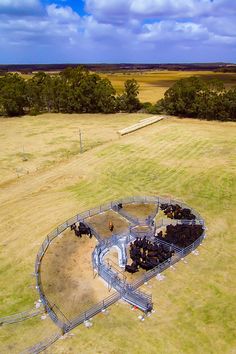 an aerial view of cattle in a fenced off area with trees and grass on the far side