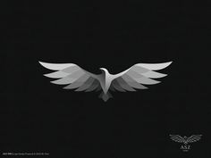 a white bird with wings spread out in the dark