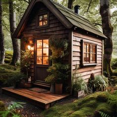 a small wooden cabin in the woods surrounded by trees and mossy ground with lights on