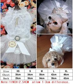 three different pictures of a dog dressed up in white and wearing a dress with flowers on it