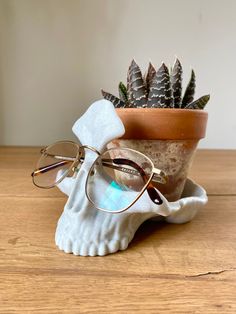 a pair of glasses sitting on top of a white shell next to a potted plant