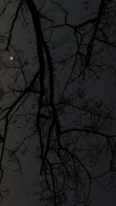 the moon is seen through some branches in the night sky with no leaves on it