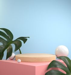 there is a potted plant next to a pink box with a white ball on it