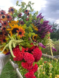 a bunch of flowers that are in the grass