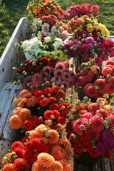 an old wooden box filled with lots of different colored flowers in the grass and on top of each other