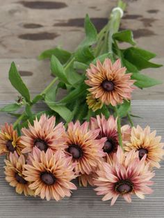 a bunch of pink and yellow flowers sitting on top of a wooden table next to green leaves