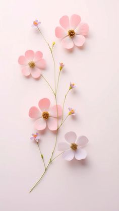 pink and white flowers against a light pink background