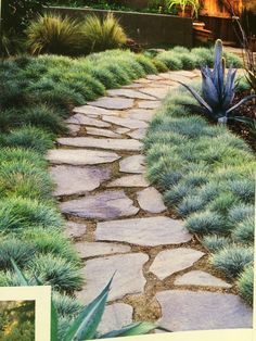 a stone path in the middle of a garden