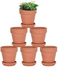 there are many clay pots that have plants in them on the top of each one