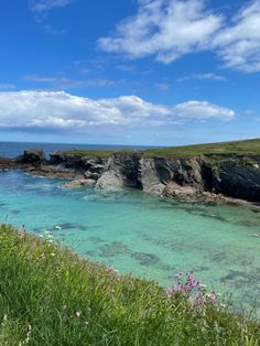 the water is crystal blue and green with pink flowers growing on the shore near some rocks