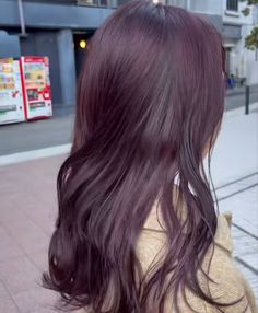 Cool Plum Hair Color, Cute Hair Colors For Brown Hair, Global Grape Hair, Cassis Purple Hair, Violet Dark Hair, Korean Hair Color Purple, Chocolate Lavender Hair Color, Violet Hair Colors Purple, Lilac Brown Hair