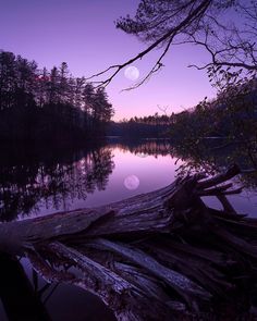 the moon is setting over a lake with logs in front of it and trees on both sides