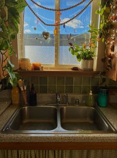 a kitchen sink under a window in front of a potted plant on the counter