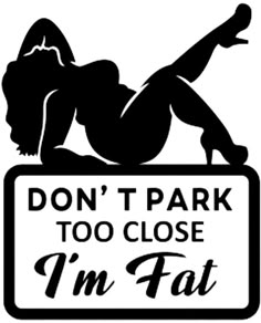 I'm Fat, What I Like About You, Funny Vinyl Decals, Cute Shirt Designs, Sarcastic Quotes Funny, Sarcastic Quotes