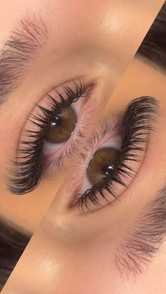 Last Extensions Styles, D Curl Cat Eye Lash Extensions, Wet Sets Lash Extensions, Asian Lashes Extensions, Brown Wet Set Lashes, Wet Hybrid Lash Extensions, Wet Volume Lash Extensions, Types Of Lashes Extensions