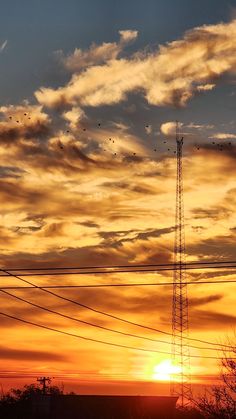 the sun is setting with birds flying in the sky over power lines and telephone poles