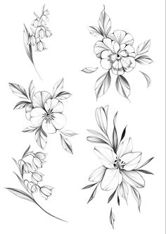 some flowers that are drawn in black and white